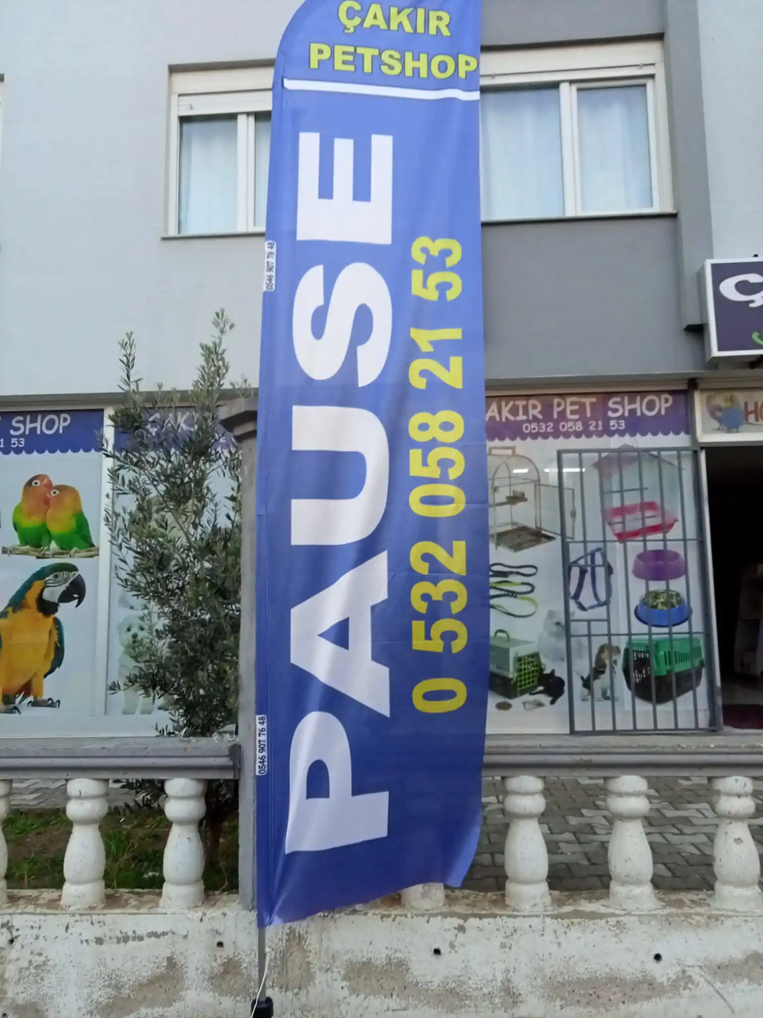 Petshop Olta Bayrağı-11