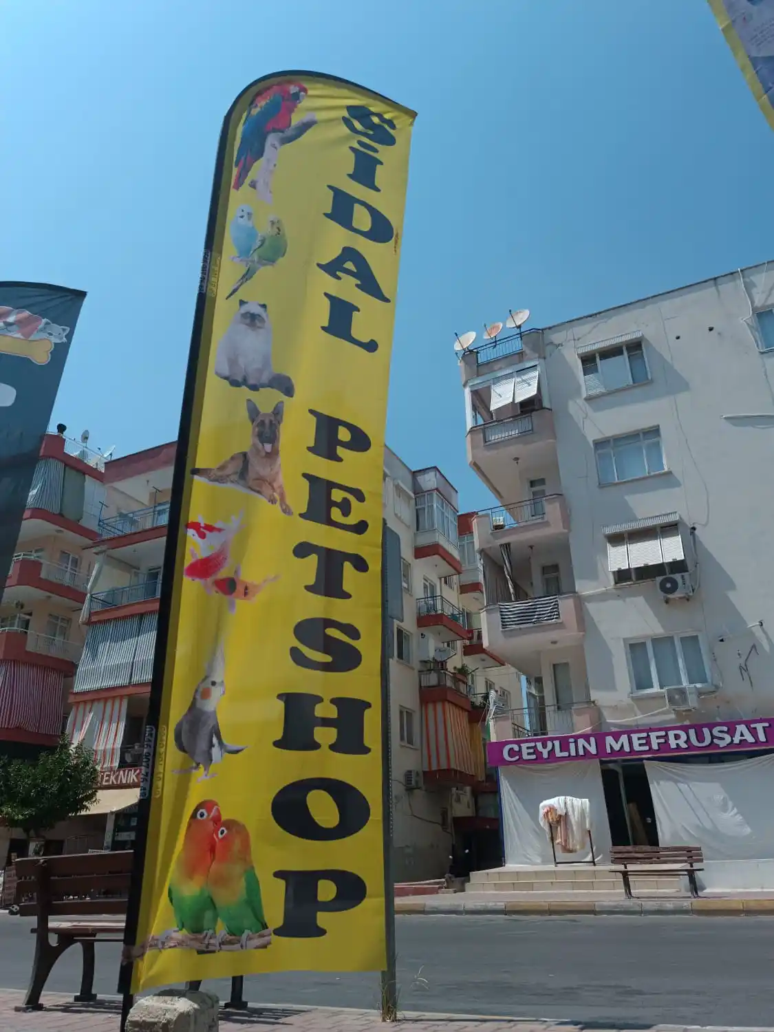 Petshop Olta Bayrağı-15